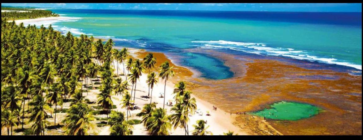 Casa Praia Do Forte - Piscinas Naturais Farol Экстерьер фото